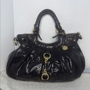 Brahmin Elisa Black Python Hobo in Black